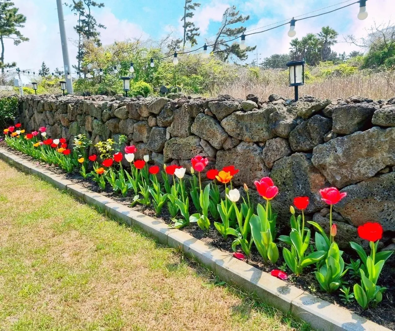 Jeju Sunshine Pension Nyaraló